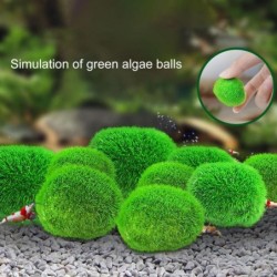 Simulation Algen Ball...