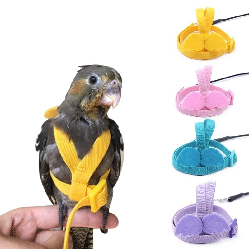 Papagei Fliegen Harness Leine Anzug Haustier Vogel Outdoor Flug Training Seil Nymphensittich Liefert Ara Zubehör Zeug Für Wel