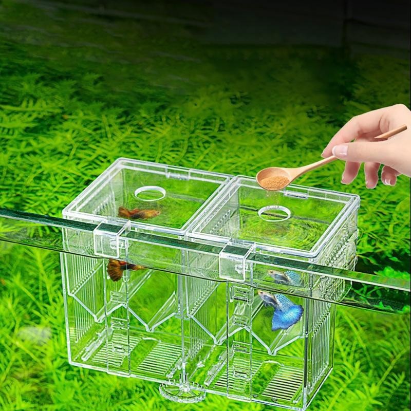 Durchsichtiges Mini-Aquarium aus Acryl mit abnehmbaren, unterteilten Fächern. Beta Fish Tanks Fischschale für Fischgarnelen E