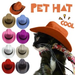 Haustier-Hundekatze-Cowboyh...