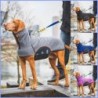 Winterkleidung für Hunde, dickes Fleece, warme Hundemäntel für kaltes Wetter, Outdoor-Schneefeld, Hundemantel, Jacken für kle