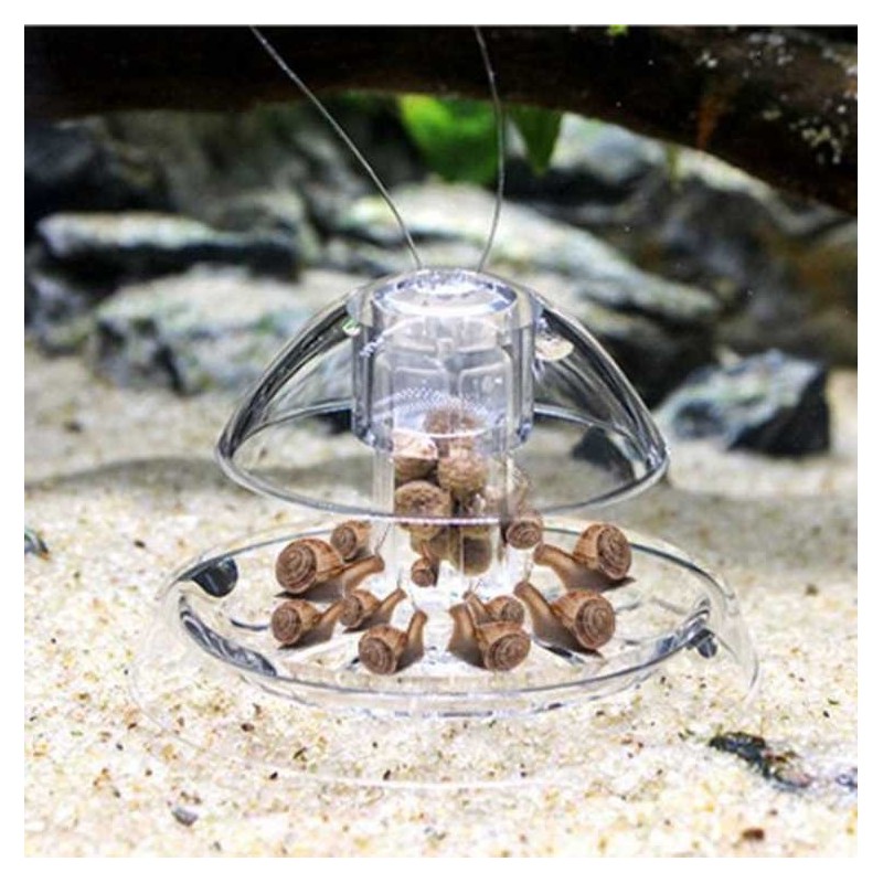 1PC Clear Snail Tank Plants Planarian Trap Aquarium Fish Leech Catch Environment weiß