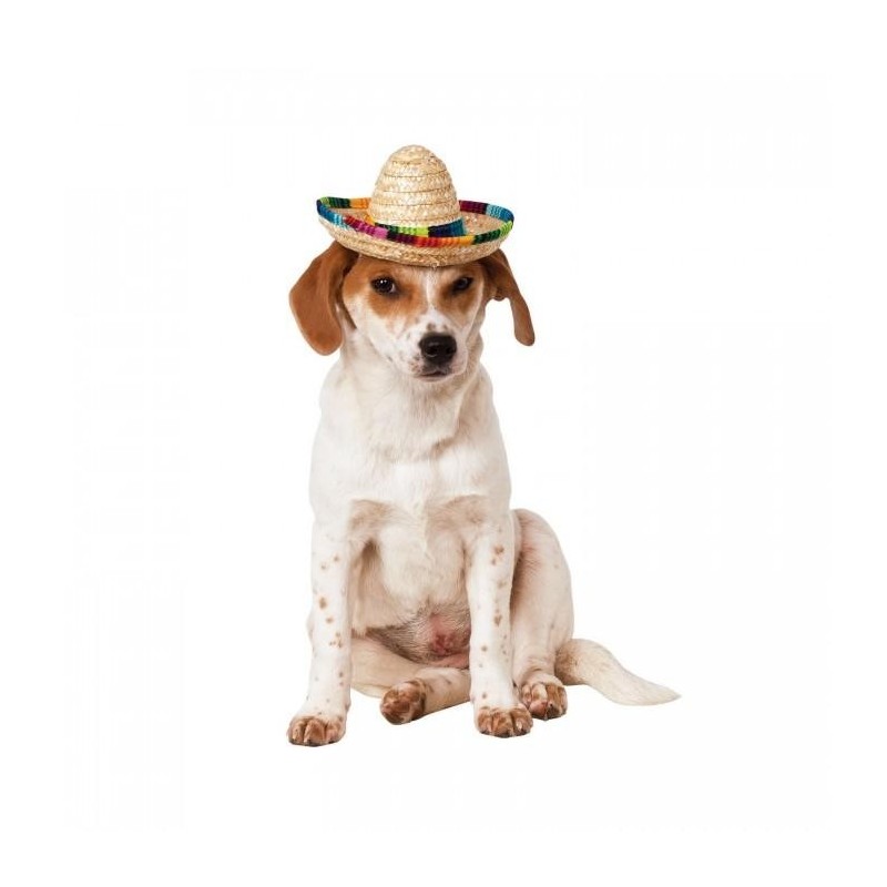 Bristol Novelty Sombrero Hundekostüm M-L schwarz