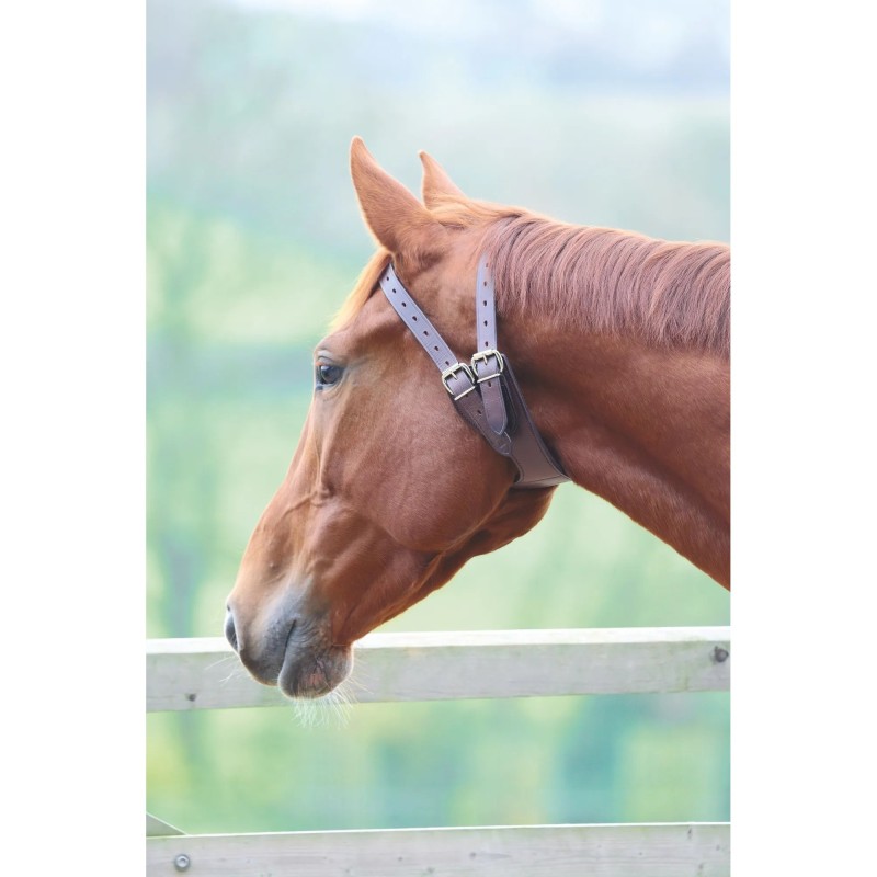 Anti-Spuck-Halsband für Pferde Shires