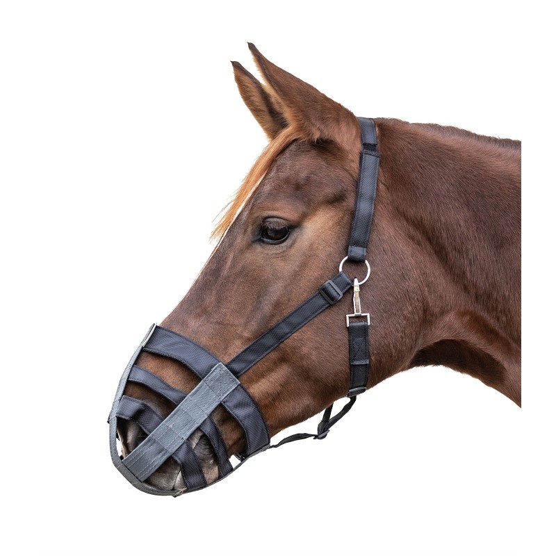 Textil-Muzzle für Pony Waldhausen