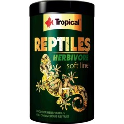 Tropical Reptiles Herbivore...