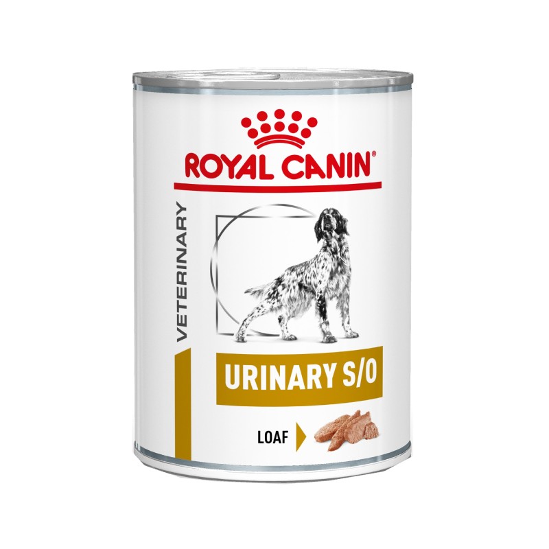 Royal Canin Urinary S/O Hund Dosen 2 x 12 x 410 g