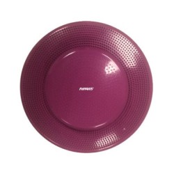 FitPAWS Balance Disc...