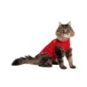 Medical Pet Shirt Katze - Rot - XXXS