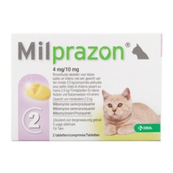 Milprazon große Katze (16...