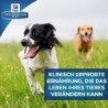 Hill's Prescription Diet - d/d Ente & Reis - Hund - 4 kg