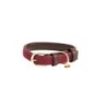 Hundehalsband aus geflochtenem nylon Kentucky