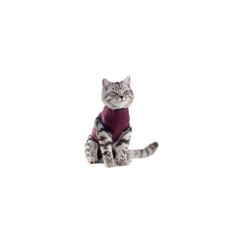 Jacketz Medical Body Suit - Katze - XXXS