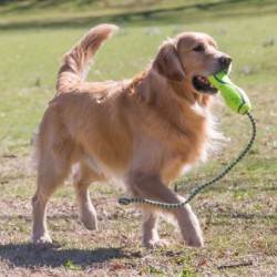 KONG Air Fetch Stick - M