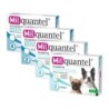 Milquantel kleiner Hund/Welpe (2,5 mg) - 2 Tabletten