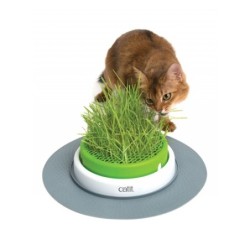 Catit Senses 2.0 Grastopf