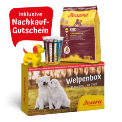 JOSERA Welpenbox Kids 900g