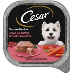 Cesar Garten-Terrine mit...