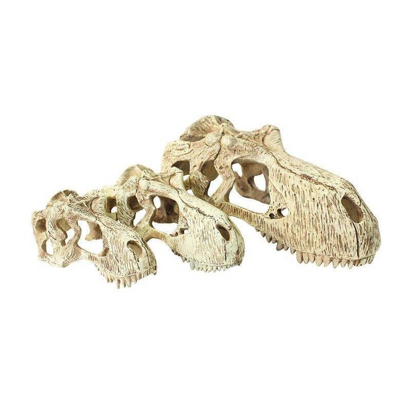 Terrarium-Zubehör Komodo T-Rex Skull