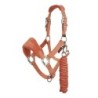 Halfter für Pferd LeMieux Headcollar & Leadrope