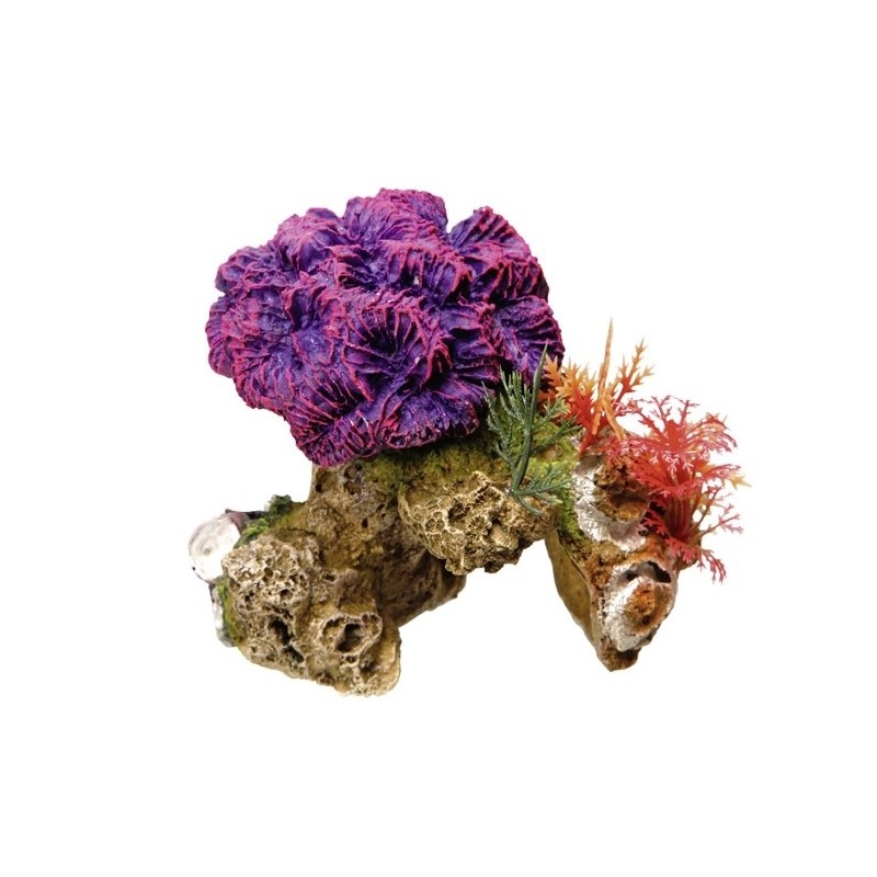 Aquariumdekoration mit Pflanzen Nobby Pet Coral Stone