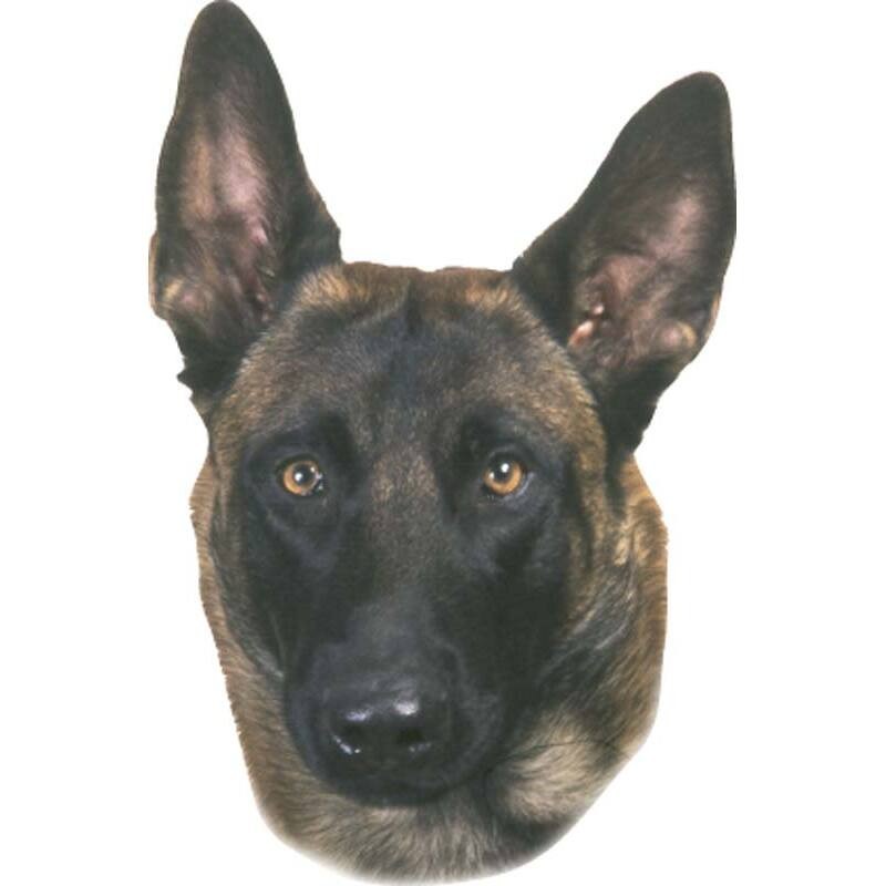 Aufkleber Nobby Pet Malinois