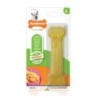 Hundespielzeug Nylabone Moderate Chew - Chicken S