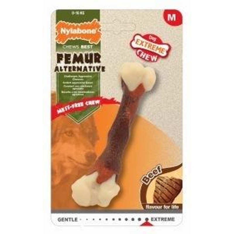 Hundespielzeug Nylabone Extreme Chew - Femur Beef Flavour M