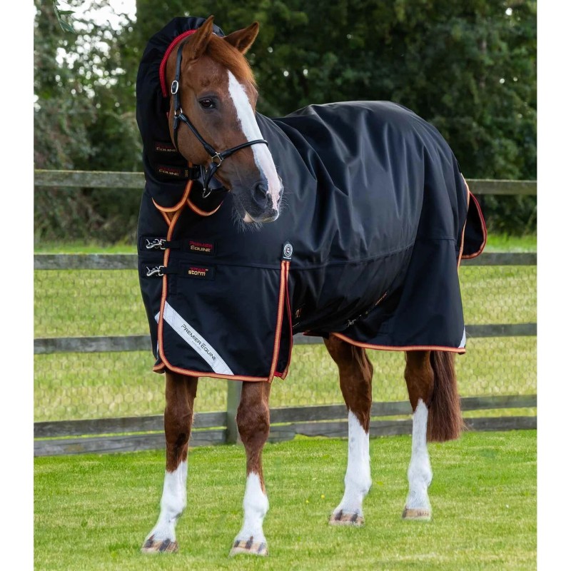 Outdoor-Decke mit Halsteil Premier Equine Titan Storm 450 g