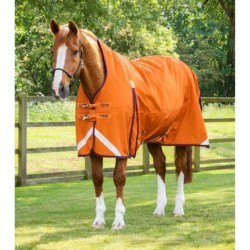 Wasserdichte Outdoor-Decke Premier Equine Buster Hardy 200 g