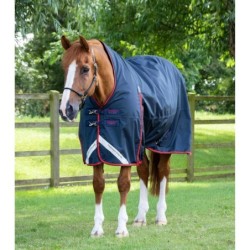 Wasserdichte Outdoor-Decke Premier Equine Buster Hardy 200 g