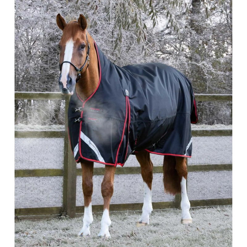 Wasserdichte Outdoor-Decke Premier Equine Buster Hardy 400 g