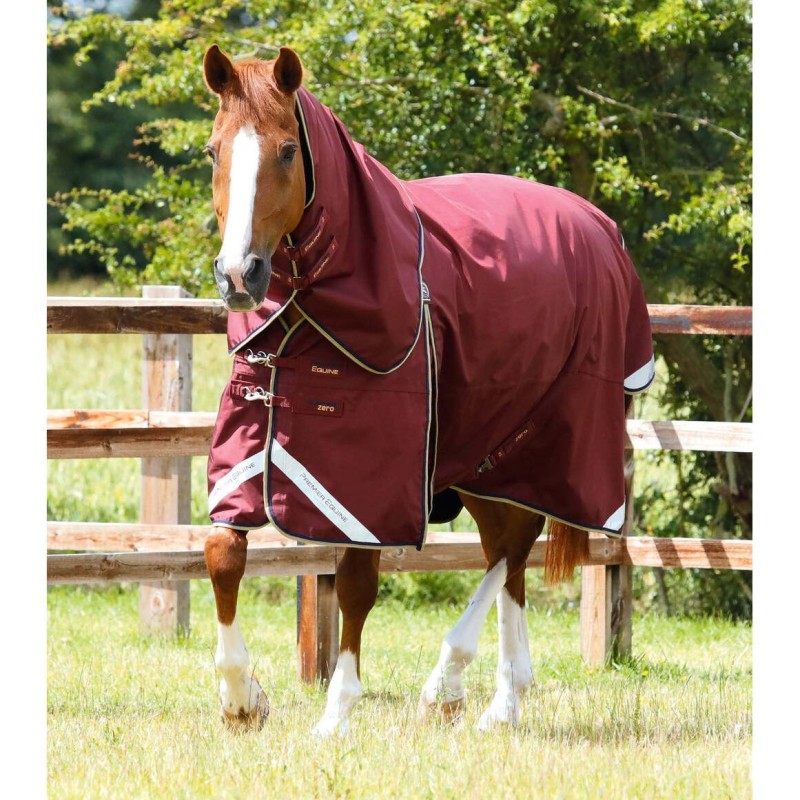 Wasserdichte Outdoor-Decke mit Halsteil Premier Equine Buster 0 g