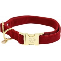 Kentucky Dogwear Hundehalsband "Corduroy" rot - XS (25-38 cm)