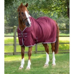 Outdoor-Decke Premier Equine Cooler Buster