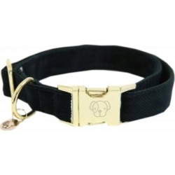 Kentucky Dogwear Hundehalsband "Corduroy" tannengrün - XL  (45-75 cm)