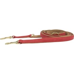 Kentucky Dogwear Hundeleine aus Lederimitat, 2,5 m - rot/beige