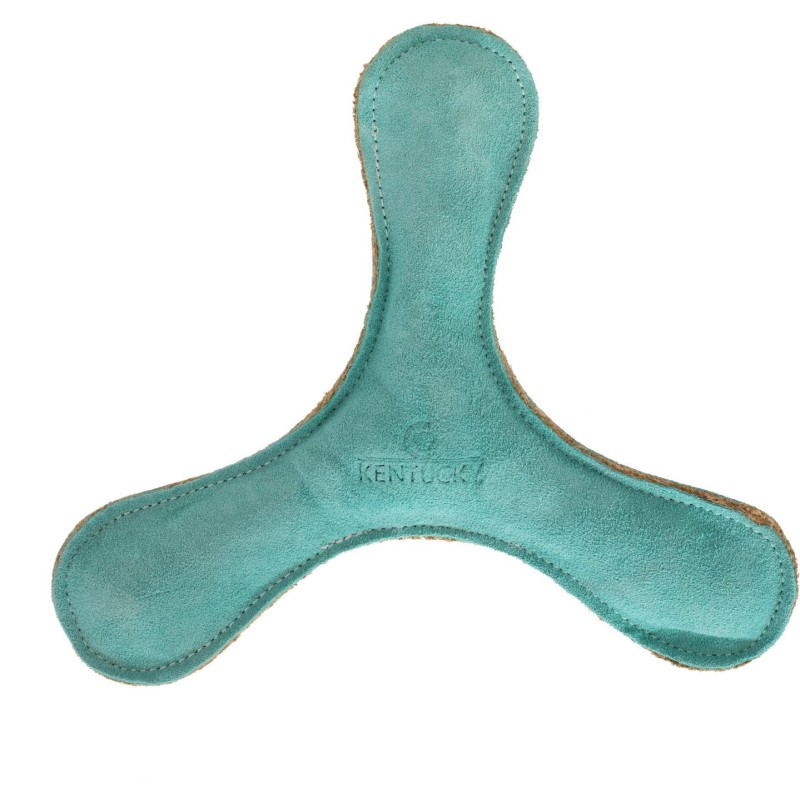 Kentucky Dogwear Hundespielzeug "Boomerang" pastell - smaragd