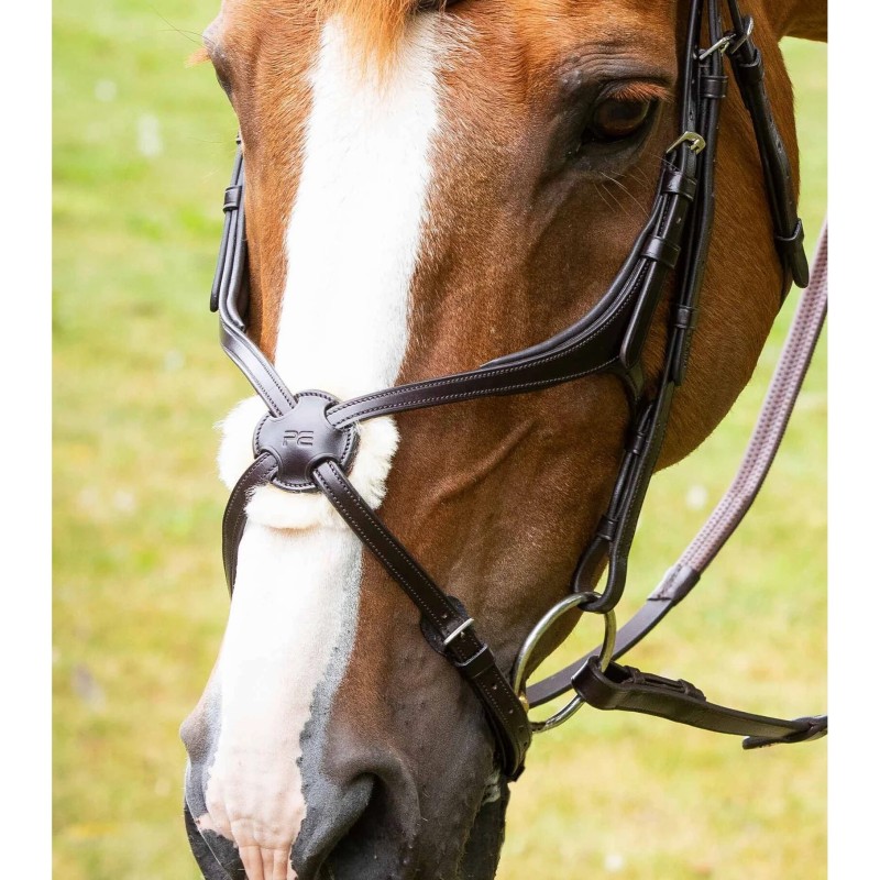 Gekreuztes Reithalfter Premier Equine Glorioso Mexican