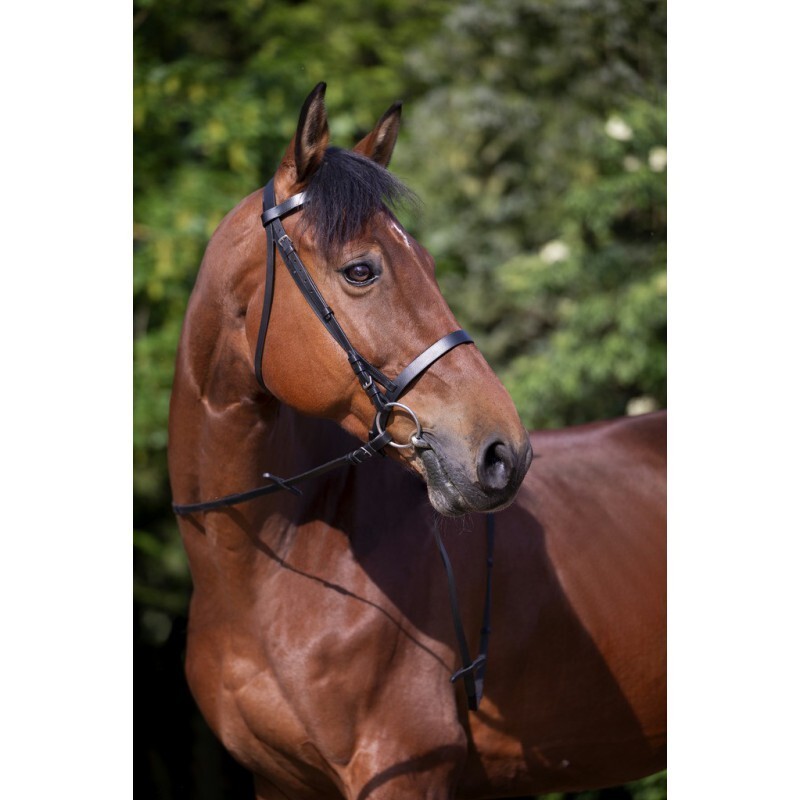 Zaumzeug Reiten Riding World Muserolle Française