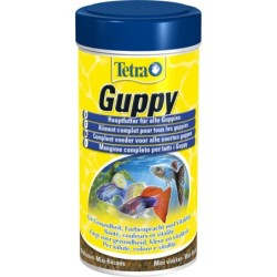 Futter für Guppys Tetra