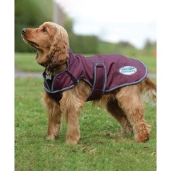 Hundemantel Weatherbeeta ComFiTec Windbreaker Free Deluxe