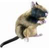 Hunter Hundespielzeug Wildlife Rat 20 cm - 1 Stk