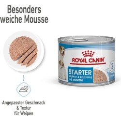 Royal Canin Starter Mousse 12x195 g - 2.340 g