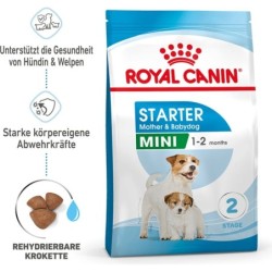 Royal Canin Mini Starter -...