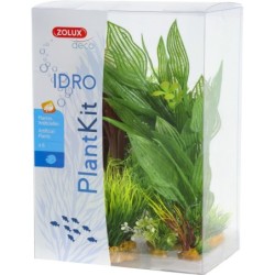 Deko Plantkit Zolux idro n°2 (x6)