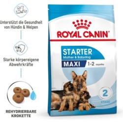 Royal Canin Maxi Starter -...