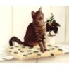 Katzen Fensterliege Jacquard-Pfote