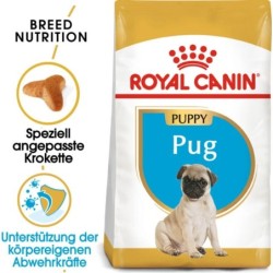 Royal Canin Pug Puppy -...