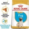 Royal Canin Pug Puppy - 1,50 kg